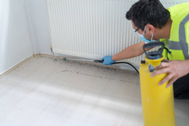 Best Pest Control for Homes  in Concord, MO