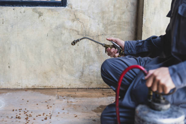 Best Mosquito Control Services  in Concord, MO