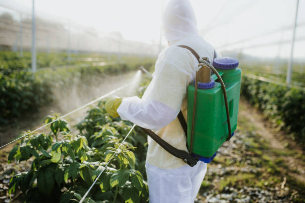 Concord, MO Pest Control Company